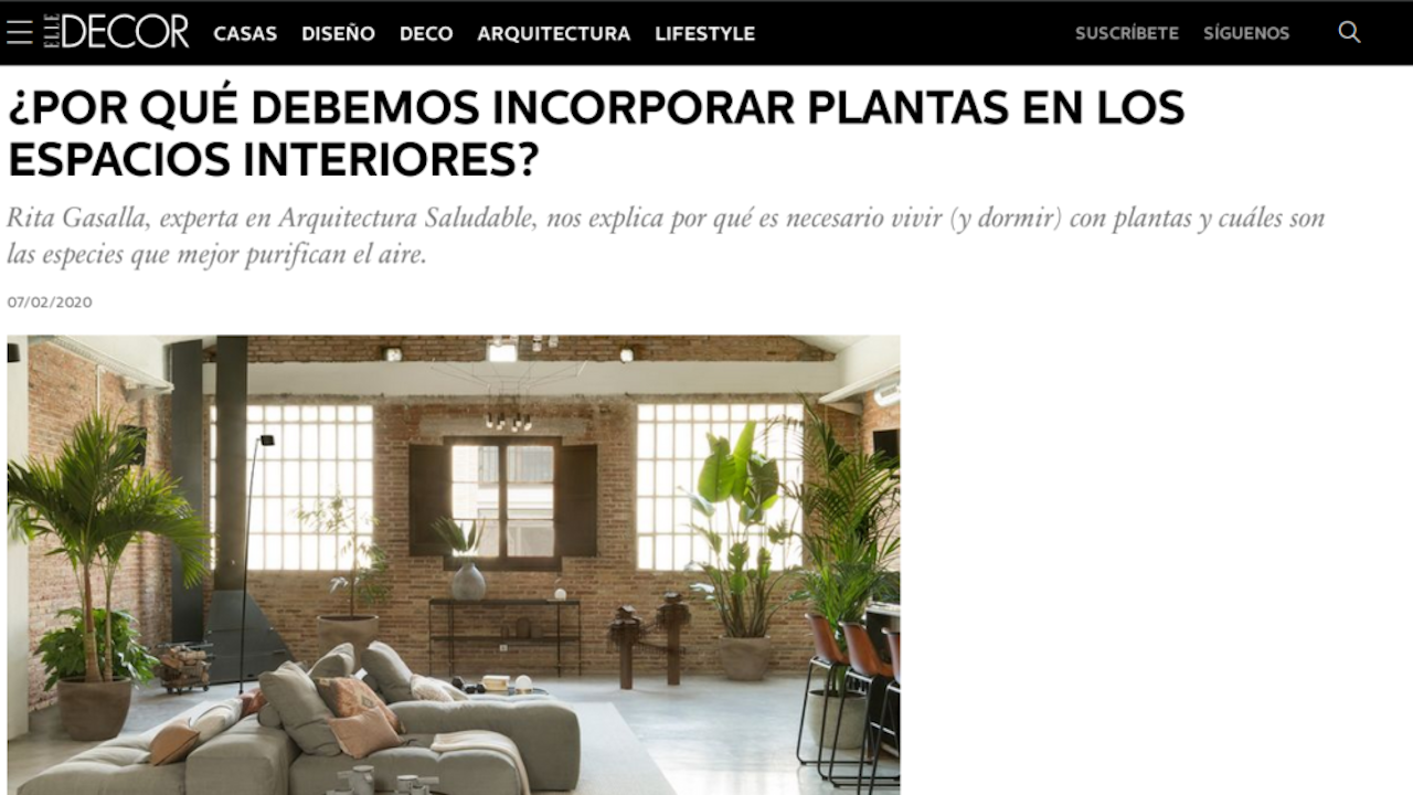 elle-decor-plantas-en-interiores